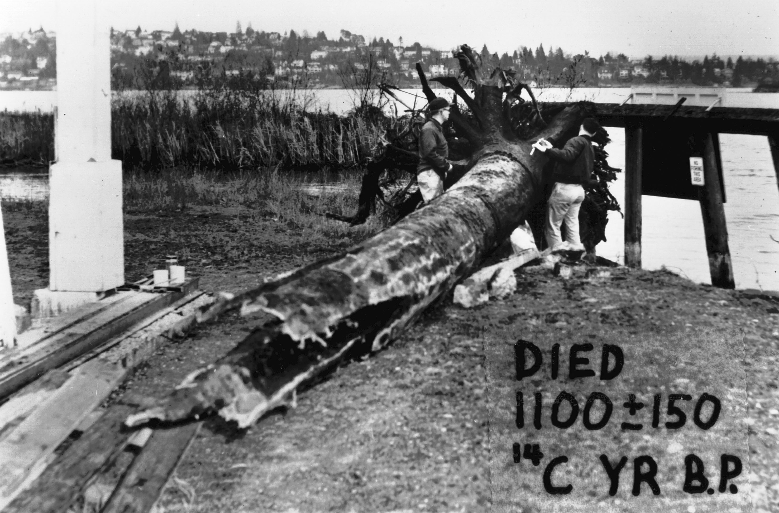 6-3%20highres%23B4C6